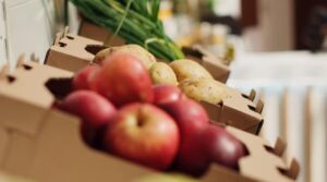 Produce Packaging Best Practices for Freshness, Efficiency, and Cost Reduction